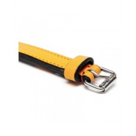 Collare per Cani Gloria Trapunta Giallo (40 x 2 cm)