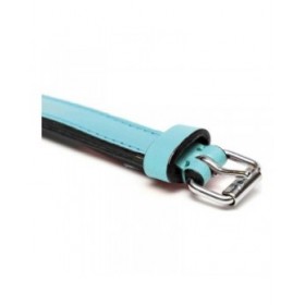 Collare per Cani Gloria Trapunta Azzurro (40 x 2 cm)