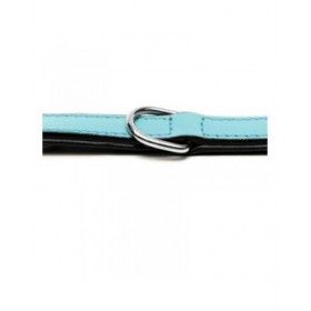 Collare per Cani Gloria Trapunta Azzurro (40 x 2 cm)