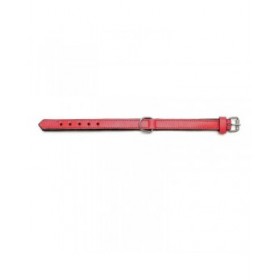 Collare per Cani Gloria Trapunta Rosso 40 cm (40 x 2 cm)