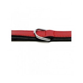 Collare per Cani Gloria Trapunta Rosso 40 cm (40 x 2 cm)
