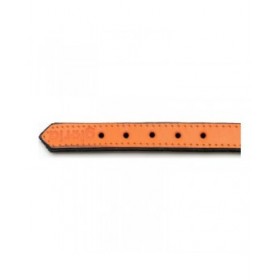 Collare per Cani Gloria Trapunta Arancio (45 x 2 cm)