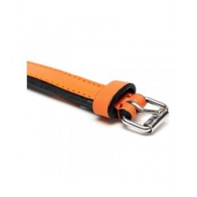Collare per Cani Gloria Trapunta Arancio (45 x 2 cm)