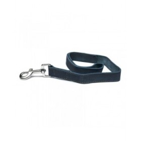 Guinzaglio per Cani Gloria Oasis 1.5 x 100 cm Azzurro