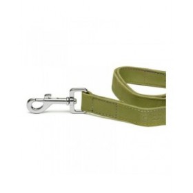 Guinzaglio per Cani Gloria Oasis 1.5 x 100 cm Verde
