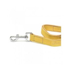 Guinzaglio per Cani Gloria Oasis 2.1 x 100 cm Giallo