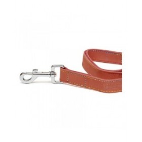 Guinzaglio per Cani Gloria Oasis 2.1 x 100 cm Rosso