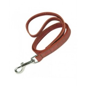 Guinzaglio per Cani Gloria Oasis 2.1 x 100 cm Rosso