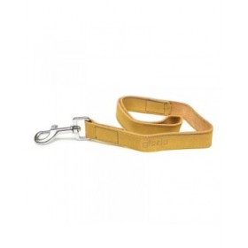 Guinzaglio per Cani Gloria Oasis 3 x 60 cm Giallo