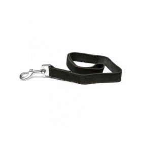 Guinzaglio per Cani Gloria Oasis 3 x 60 cm Nero