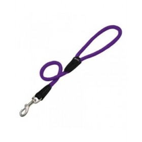 Guinzaglio per Cani Gloria 1 x 60 cm Viola