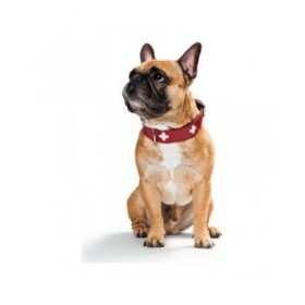 Collare per Cani Hunter Swiss Rosso/Nero (35-39.5 cm)