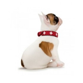 Collare per Cani Hunter Swiss Rosso/Nero (38-43.5 cm)