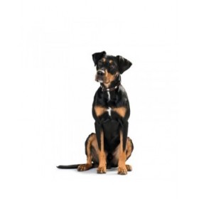 Collare per Cani Hunter Swiss Marrone Nero M 55 cm