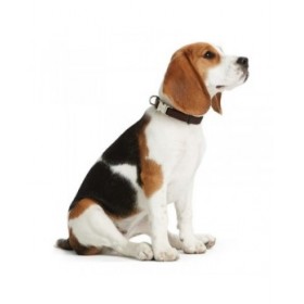 Collare per Cani Hunter Alu-Strong Rosso Taglia M (40-55 cm)