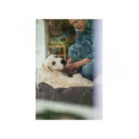 Divano per cani Hunter Boston 80x60 cm Marrone