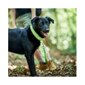 Collare per Cani Hunter Plus Filo Taglia XL Lime (45-70 cm)