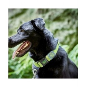 Collare per Cani Hunter Plus Filo Taglia XL Lime (45-70 cm)