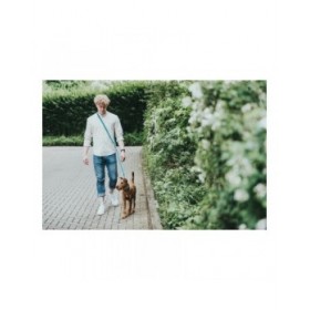 Guinzaglio per Cani Hunter HILO Antracite (200 cm)