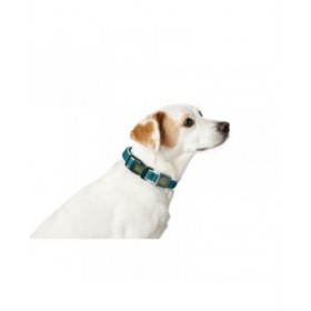 Collare per Cani Hunter Turchese 12