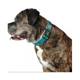 Collare per Cani Hunter Plus Filo Turchese 11