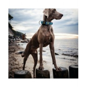 Collare per Cani Hunter Plus Filo Turchese 11