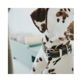 Collare per Cani Hunter Aalborg Nero (30-38 cm)