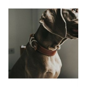 Collare per Cani Hunter Aalborg Cognac (24-30 cm)
