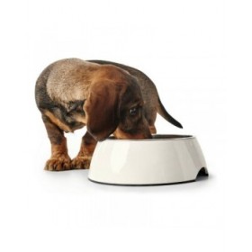 Ciotola per cani Hunter Melammina Acciaio inossidabile Bianco 160 ml (14,5 x 14,5 x 7 cm)
