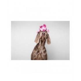 Giocattoli per cani Gloria Dogmonsters Rosa Maiale 34 x 9 cm