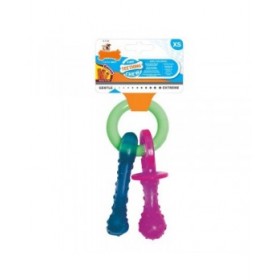 Giocattolo da mordere per cani Nylabone Portachiavi Carne Formaggio Cuccioli Bacon Nylon Termoplastico Taglia XS