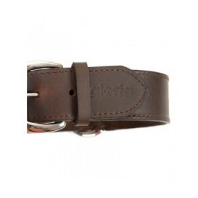 Collare per Cani Gloria Marrone 75 cm (75 x 4 cm)