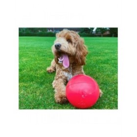 Giocattoli per cani Company of Animals Boomer Azzurro (100mm)