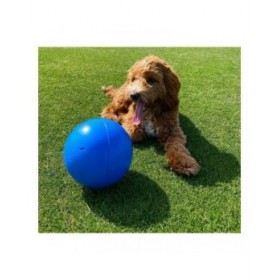 Giocattoli per cani Company of Animals Boomer Azzurro (100mm)