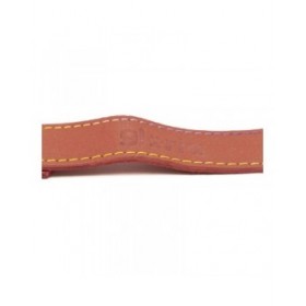 Guinzaglio per Cani Gloria Oasis 3 x 60 cm Rosso