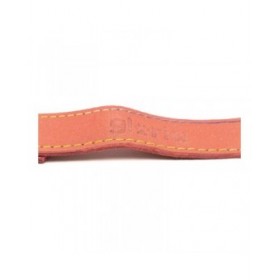 Guinzaglio per Cani Gloria Oasis 3 x 60 cm Rosa