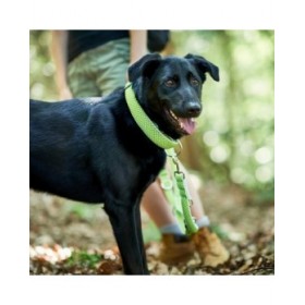 Collare per Cani Hunter Vario Plus Fili Taglia L Lime (40-60 cm)