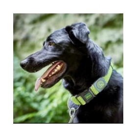 Collare per Cani Hunter Vario Plus Fili Taglia L Lime (40-60 cm)