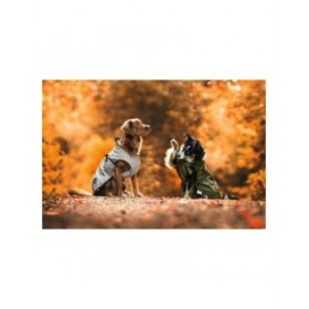 Cappotto per Cani Norton 360 Uppsala 45 cm Marrone