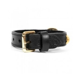 Collare per Cani Gloria Duna Nero Dorato (35 x 2 cm)