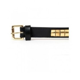Collare per Cani Gloria Duna Nero Dorato (35 x 2 cm)
