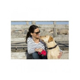 Guinzaglio per Cani Flexi New Classic 5m Azzurro Taglia L