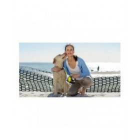 Guinzaglio per Cani Flexi NEW CLASSIC NEON 5 m Taglia S