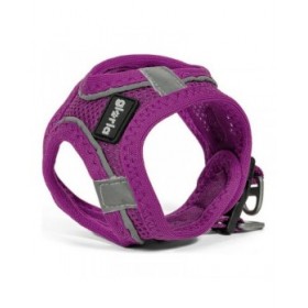Imbracatura per Cani Gloria Air Mesh Trek Star Regolabile Viola Taglia XXXS (18-20 cm)