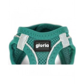 Imbracatura per Cani Gloria Trek Star 27-28 cm 31-34,6 cm Turchese XS