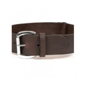 Collare per Cani Gloria Marrone 60 cm (60 x 4 cm)