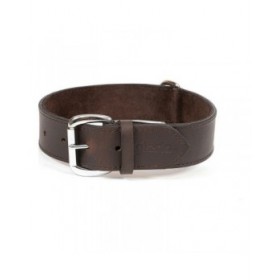 Collare per Cani Gloria Marrone 70 cm (70 x 4 cm)