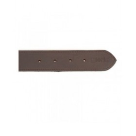 Collare per Cani Gloria Marrone 70 cm (70 x 4 cm)