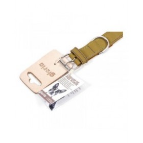 Collare per Cani Gloria Oasis Verde (40 x 1,5 cm)