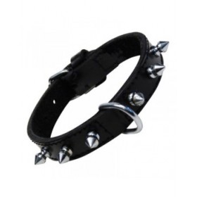 Collare per Cani Gloria Nero Sspuntoni (50 cm)